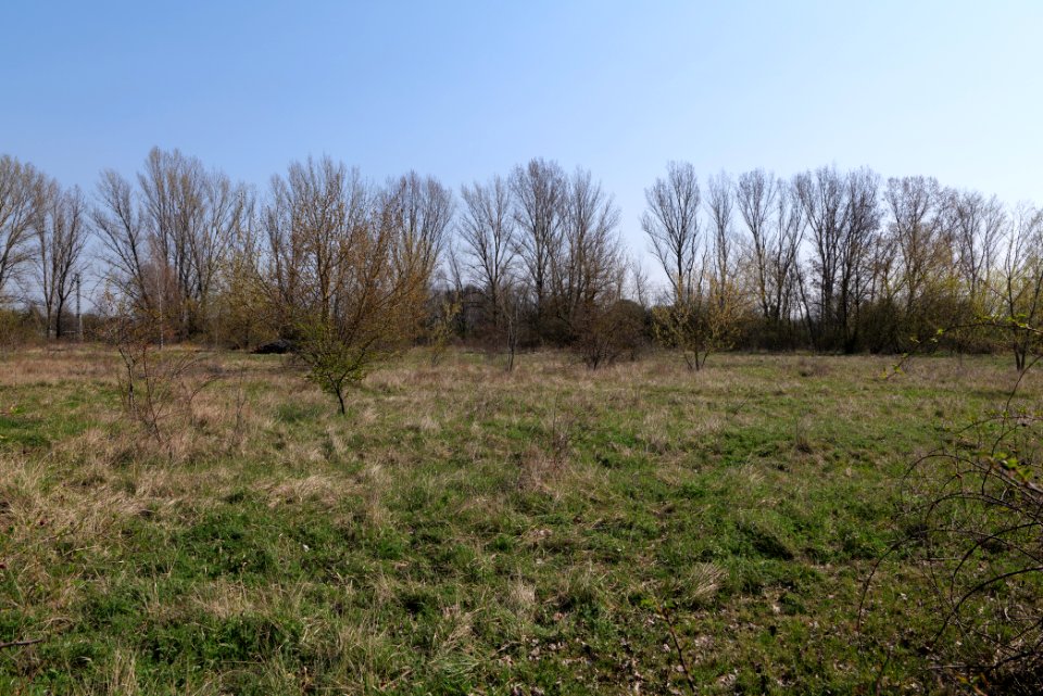 Biesenhorster Sand Berlin 2021-04-20 19