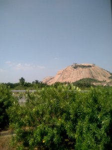 Bhuvanagiri Fort 2