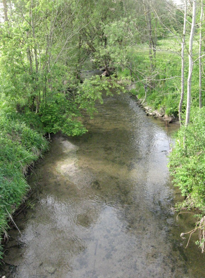 Bibers 200 m vor ihrer Mündung in den Kocher bei Rosengarten-Westheim, Blick flussaufwärts