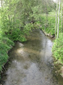 Bibers 200 m vor ihrer Mündung in den Kocher bei Rosengarten-Westheim, Blick flussaufwärts