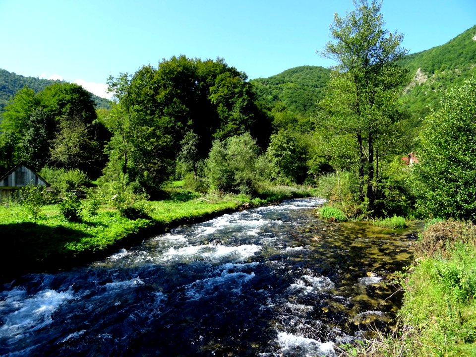 BiH Pliva 2