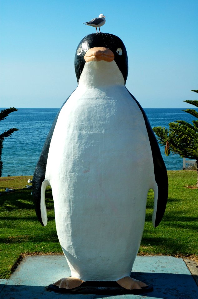 Big-Penguin-20070420-036