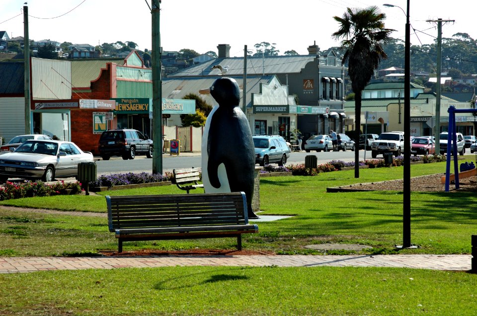 Big-Penguin-20070420-035