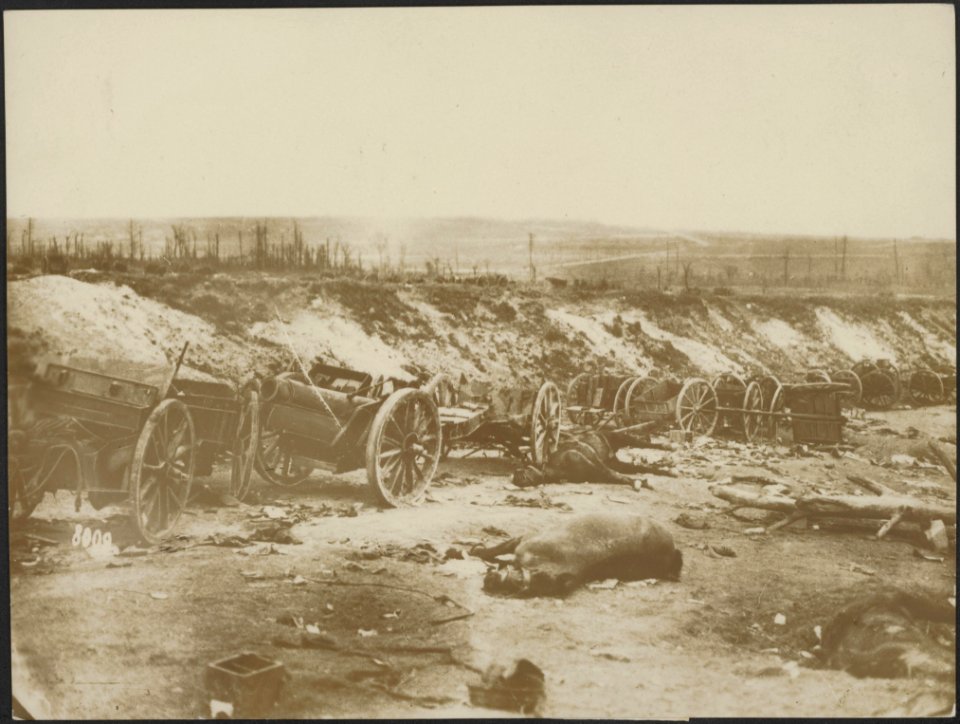 Bij Cléry vernietigde Engelsche batterij, Bestanddeelnr 158-1740