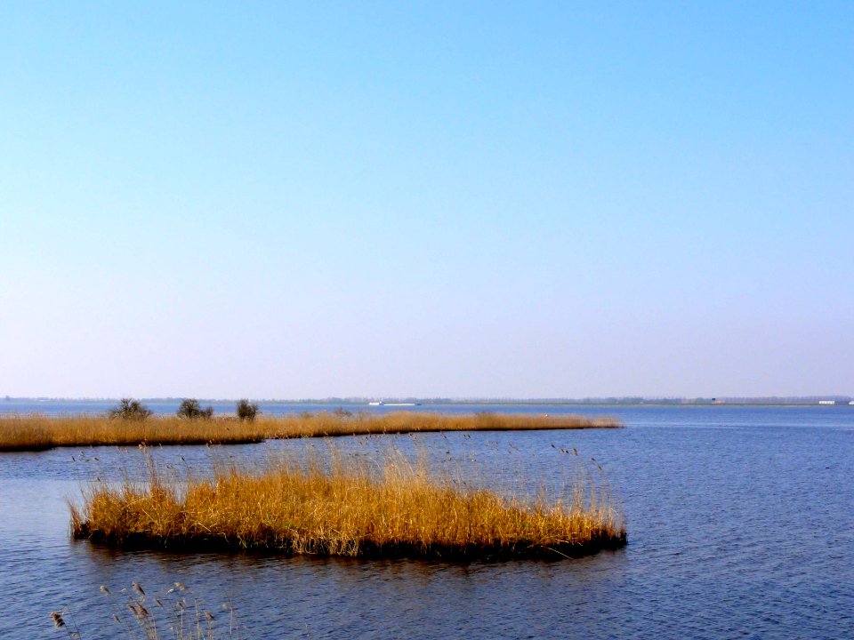 Biezenvelden2 Zwarte Meer