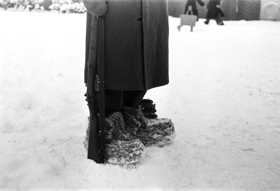 Biezen schoenen, Bestanddeelnr 902-0587