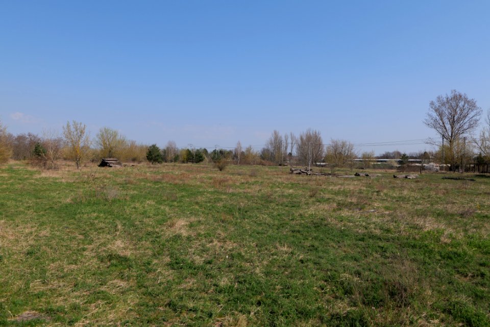 Biesenhorster Sand Berlin 2021-04-20 20