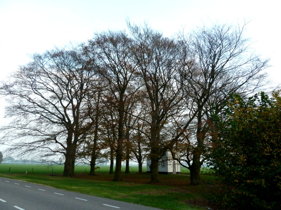 Biest-Houtakker - Sint-Jozefkapel (2)