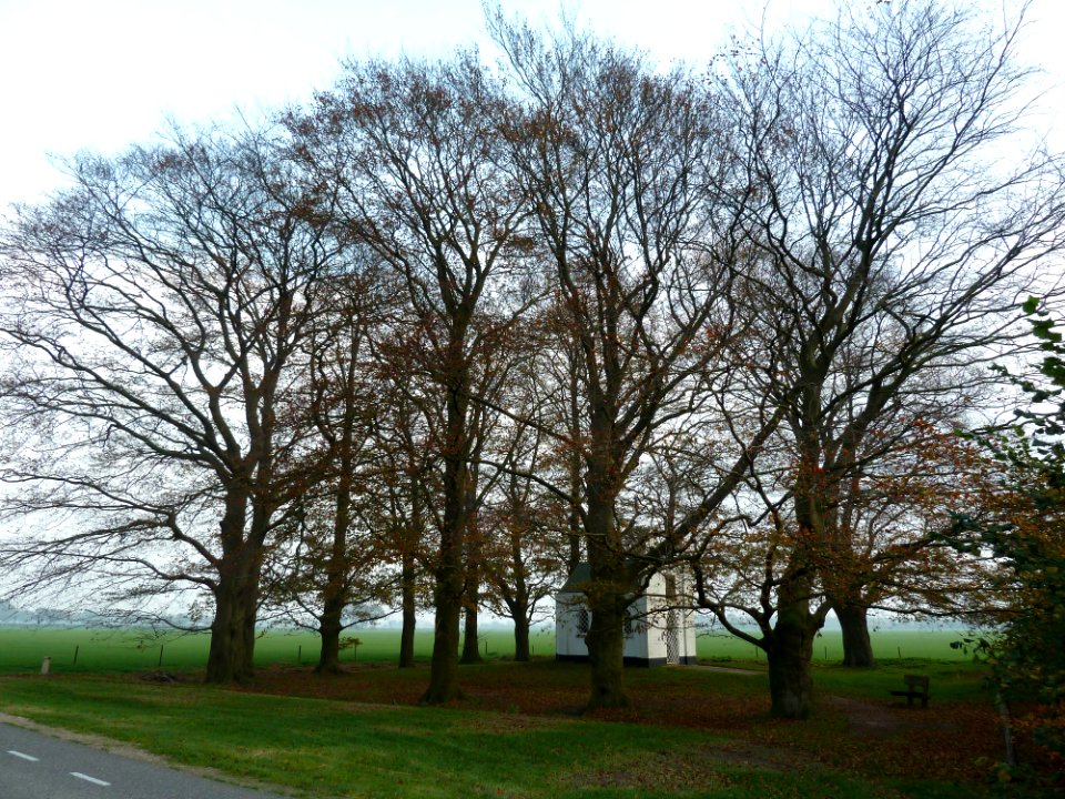 Biest-Houtakker - Sint-Jozefkapel (1)