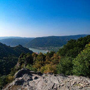 Summer burgruine forest