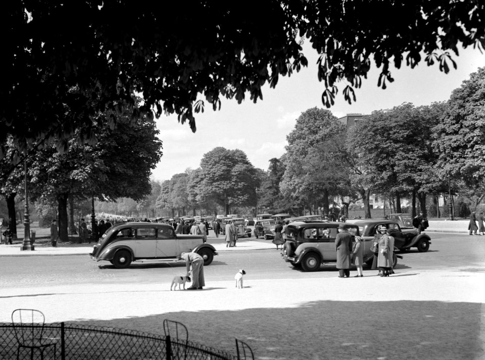 Bijeenkomst met veel Traction Avants van Citroën, Bestanddeelnr 255-8651