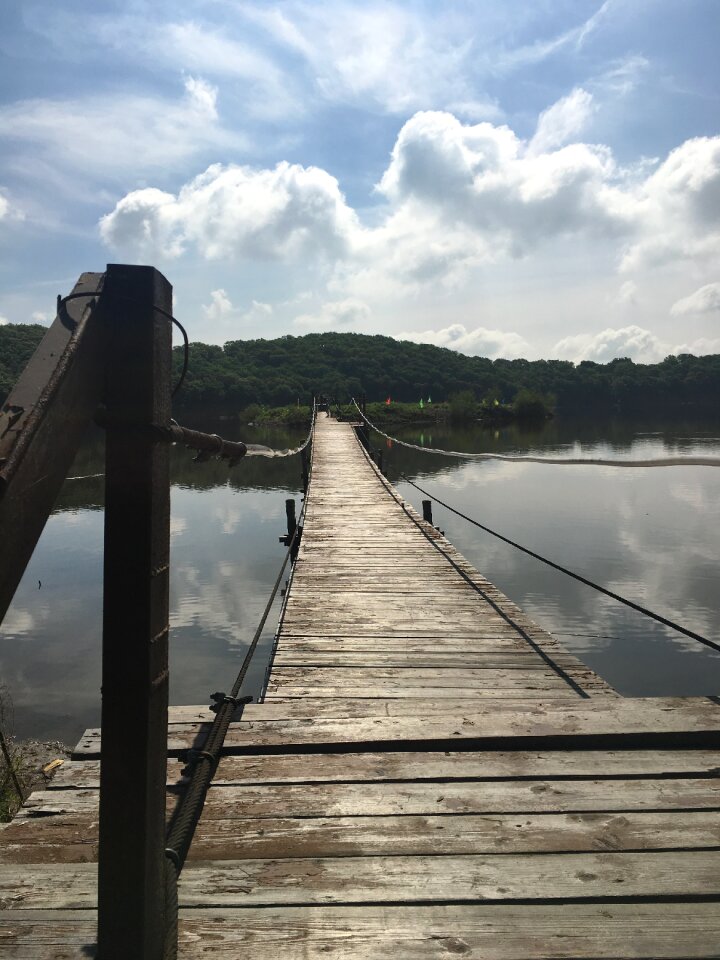 Bridge life distance