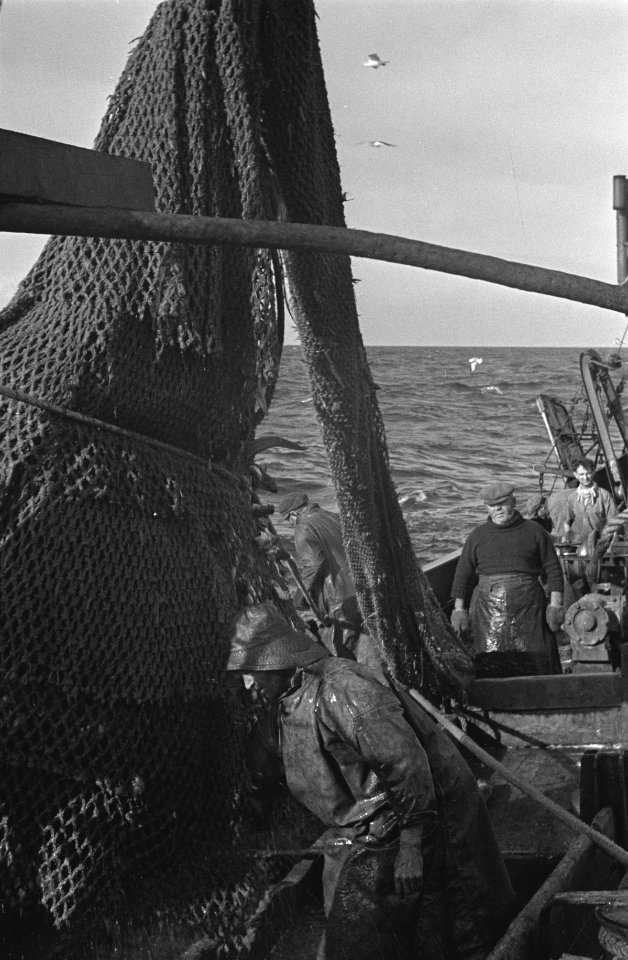 Bijschrift On board a Dutch trawler Aan boord van een Nederlandse vistrawler, Bestanddeelnr 935-3049