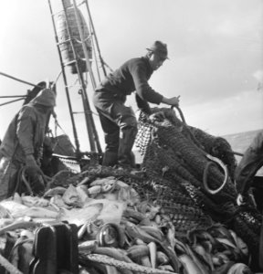 Bijschrift On board a Dutch trawler Aan boord van een Nederlandse vistrawler, Bestanddeelnr 935-3044