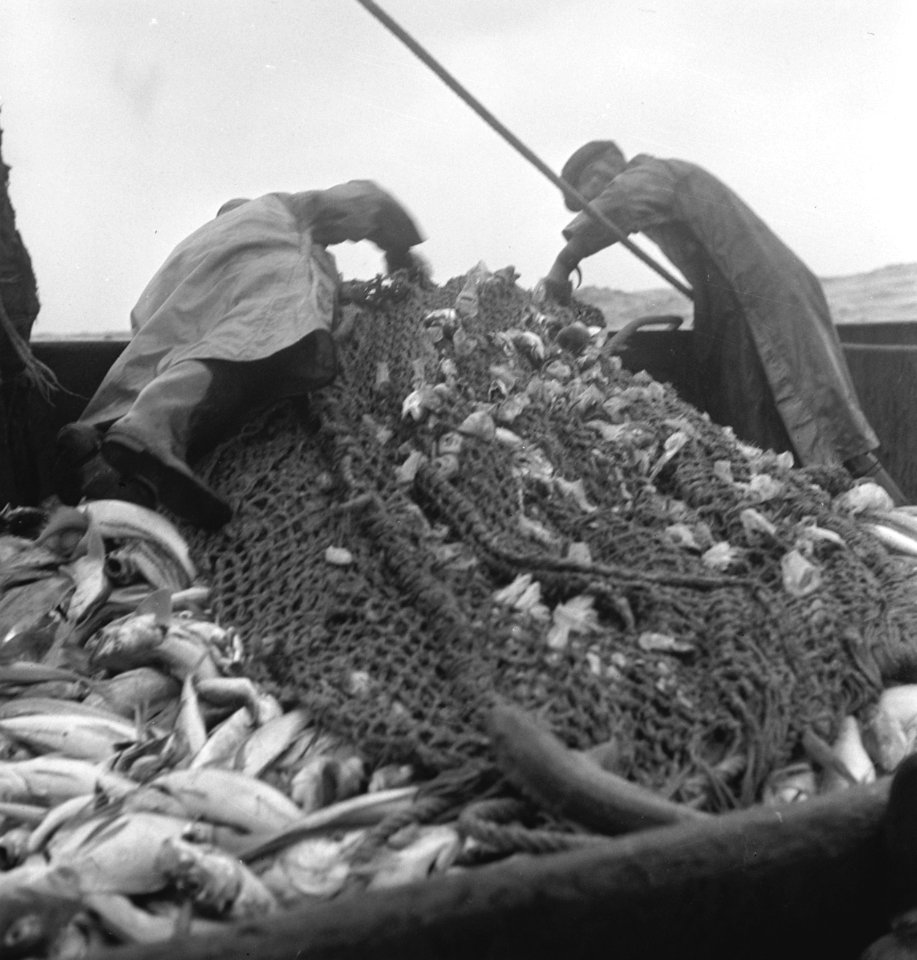 Bijschrift On board a Dutch trawler Aan boord van een Nederlandse vistrawler, Bestanddeelnr 935-3048