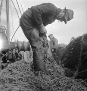 Bijschrift On board a Dutch trawler Aan boord van een Nederlandse vistrawler, Bestanddeelnr 935-3043