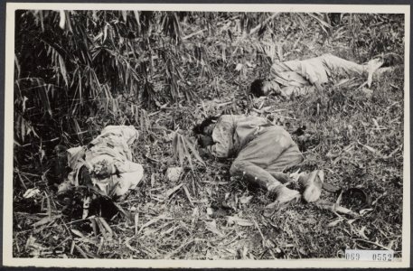 Bijschrift Gesneuvelde Japanners, vrijwilligers der T.R.I...., Bestanddeelnr 069-0552 photo