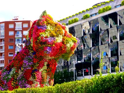 Bilbao - 'Puppy', de Koons (10)