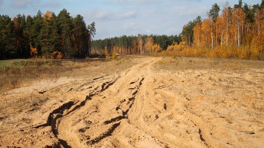 The roads bypass road autumn forest