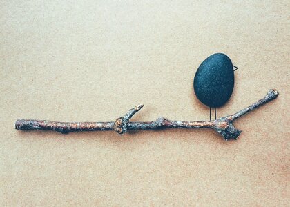 Bird rock art