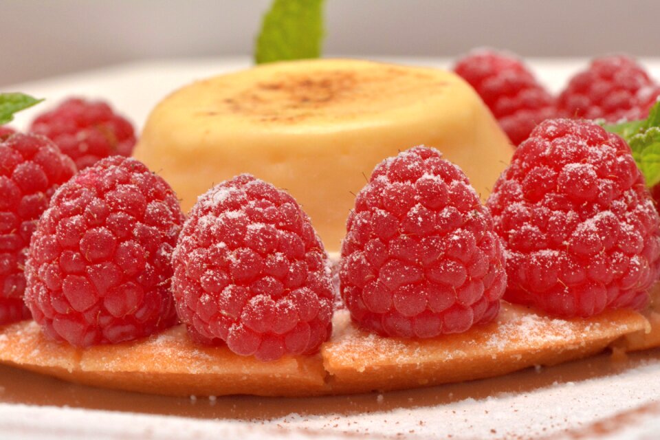 Pastry bakery gourmet