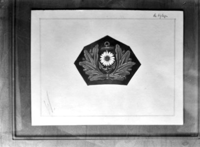 Bijschrift The new emblem of the Netherlands Merchant Navy, which ahs just been, Bestanddeelnr 935-3019