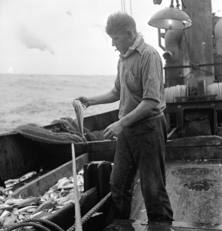 Bijschrift On board a Dutch trawler Aan boord van een Nederlandse vistrawler, Bestanddeelnr 935-3061