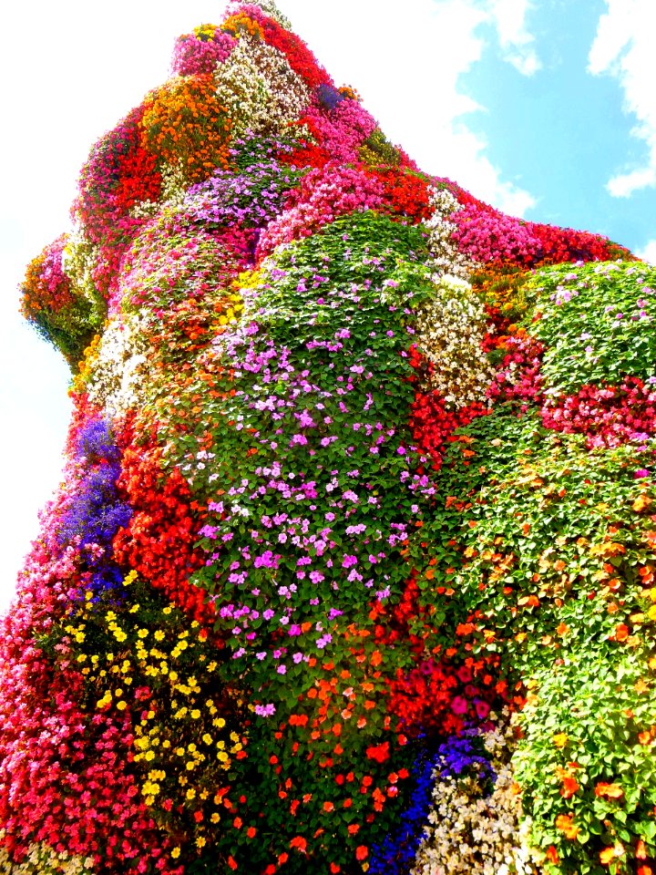 Bilbao - 'Puppy', de Koons (04)