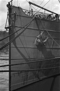 Bijschrift View of Dutch merchant vessel Boeg Nederlands koopvaardijschip, Bestanddeelnr 935-2894