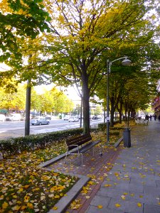 Bilbao - Avenida Juan Antonio Zunzunegi
