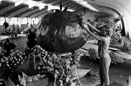 Bloemen en fruitcorso in groenteveiling van Honselerdijk, een enorme tomaat, Bestanddeelnr 916-8164