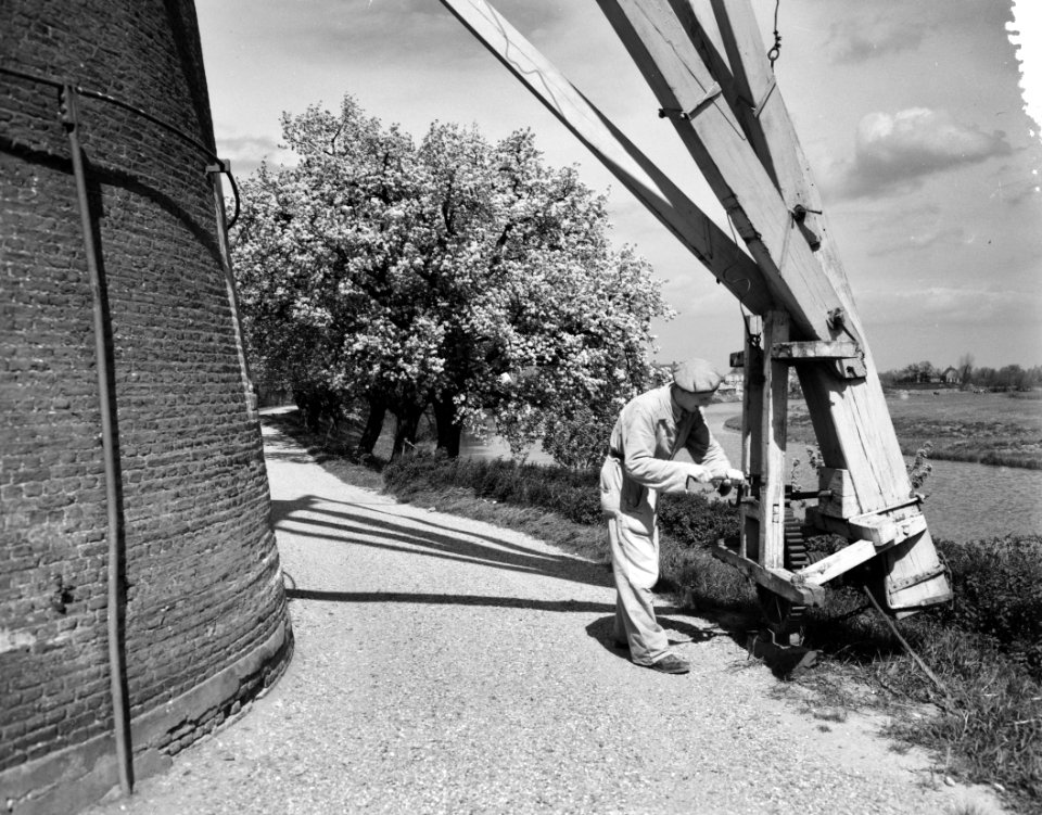 Bloeiende Betuwe bij Beest. De molenaar kruit (het op wind zetten van de molenka, Bestanddeelnr 907-1262