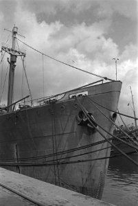 Bijschrift View of Dutch merchant vessel Boeg Nederlands koopvaardijschip, Bestanddeelnr 935-2893