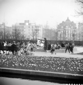 Bloemen en zonnen in Amsterdam, Bestanddeelnr 912-1969