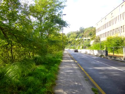 Bilbao - Camino el Pontón (Bolueta) 1