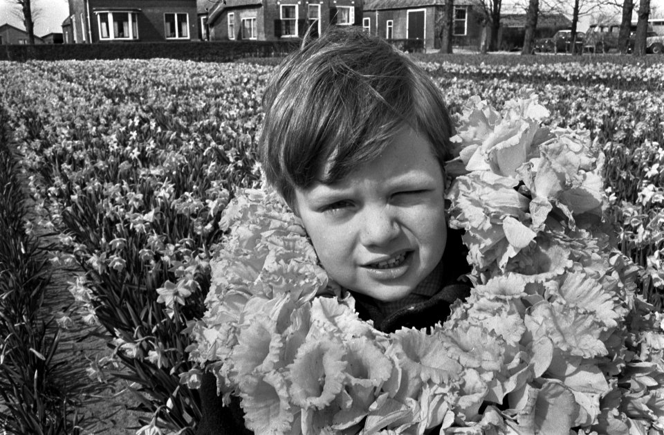 Bloembollen, een jongetje met slinger om, Bestanddeelnr 921-2396