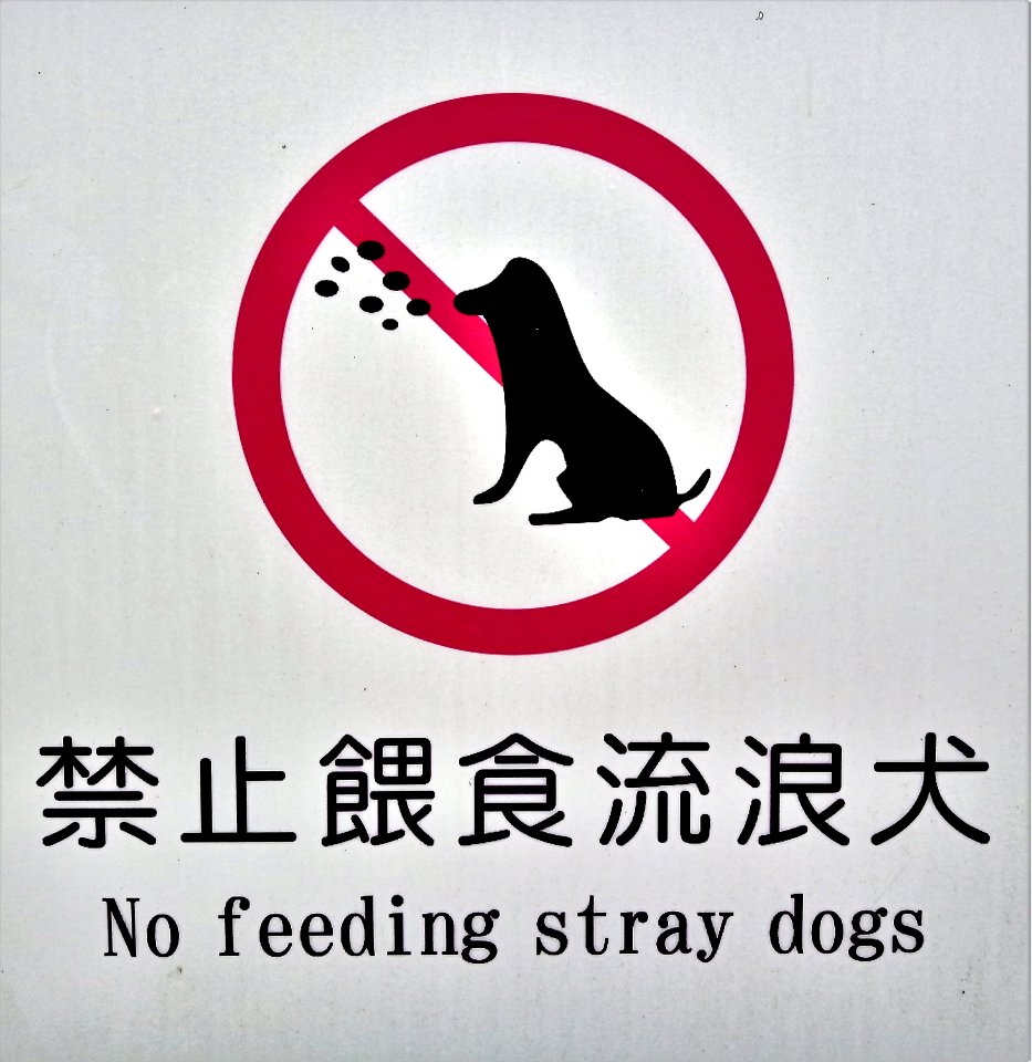 Blingingual Chinese-English sign "No feeding stray dogs"