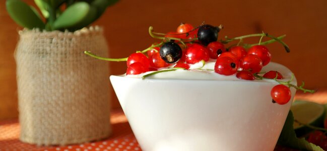 Dessert sugar sweet