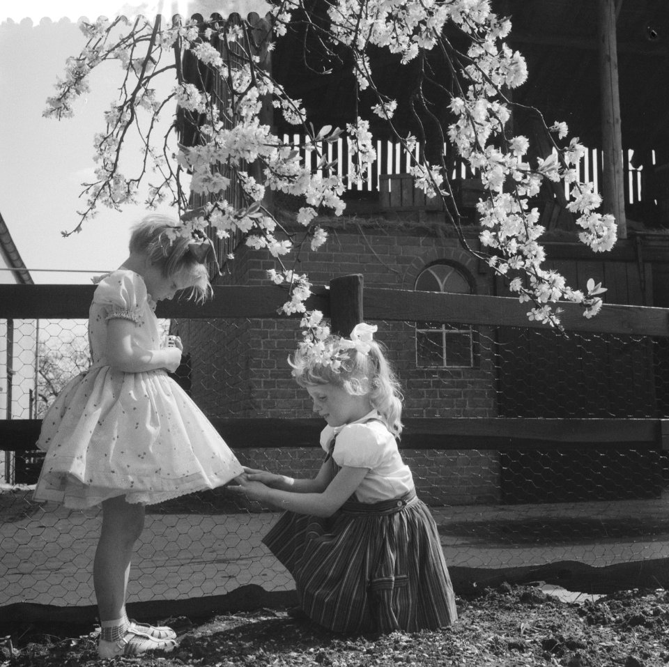 Bloeiende Betuwe, kinderen spelen onder de bloesems, Bestanddeelnr 910-3070