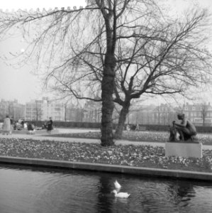 Bloemen en zonnen in Amsterdam, Bestanddeelnr 912-1970