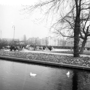 Bloemen en zonnen in Amsterdam, Bestanddeelnr 912-1971