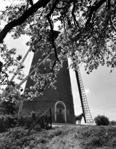 Bloeiende Betuwe bij Beest, molen, Bestanddeelnr 907-1261