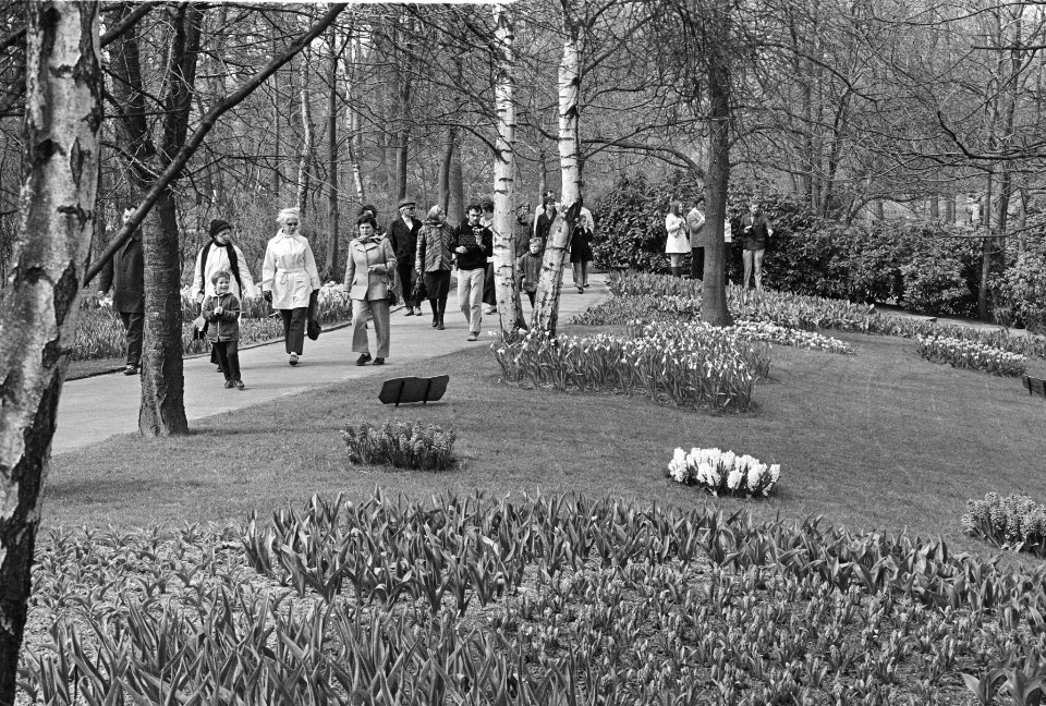 Bloemen, tentoonstellingen, Bestanddeelnr 924-4438