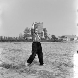 Bloembollenkweek (serie), Bestanddeelnr 918-9608