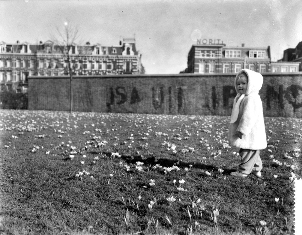 Bloeiende crocussen in het Weteringplantsoen, Bestanddeelnr 910-2025
