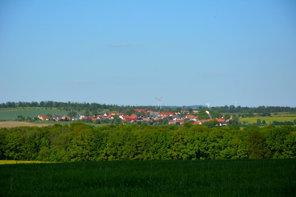Blick auf Schönborn