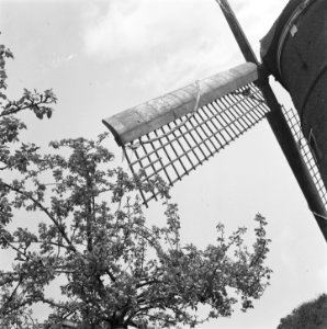Bloeiende Betuwe, Bestanddeelnr 901-7244