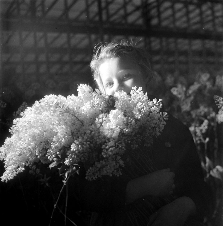 Bloemen in Aalsmeer, Bestanddeelnr 901-3324