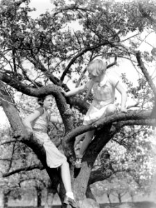 Bloeiende fruitboom in de Betuwe met Van der Polls stiefdochters Hans en Renée, Bestanddeelnr 190-0002 photo
