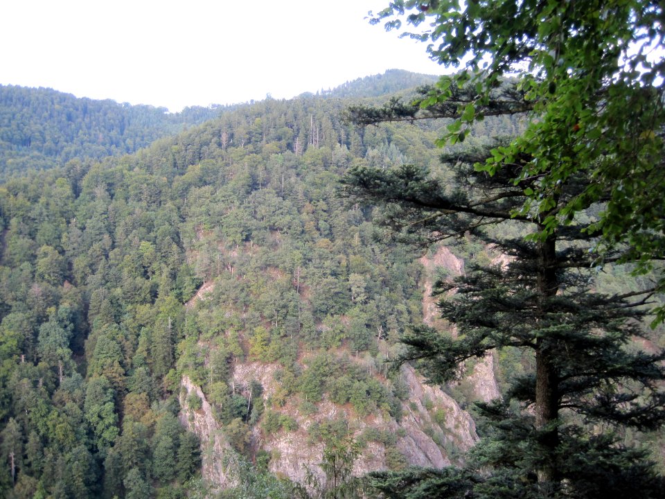 Blick über das Höllental